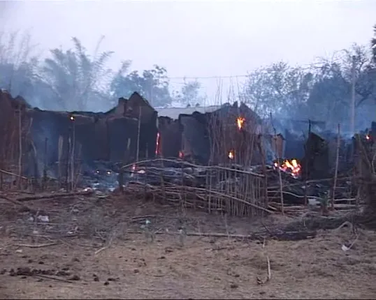 ଜଙ୍ଗଲ ନିଆଁରେ ଜଳିଗଲା ଗାଁ