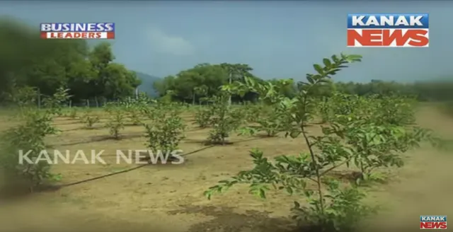 ସୁଶାନ୍ତ ଖୁଂଟିଆ : ଡିପେଣ୍ଡବଲ୍ ଅଗ୍ରି ସର୍ଭିସେସ୍ ପ୍ରା. ଲିମିଟିଡେର ମ୍ୟାନେଜିଂ ଡିରେକ୍ଟର