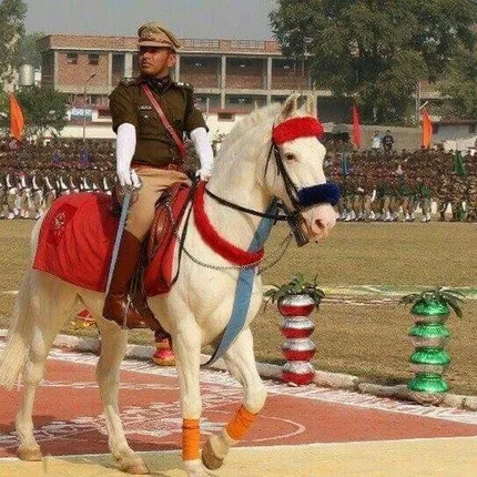 ସଲାମ୍ ଶକ୍ତିମାନ୍