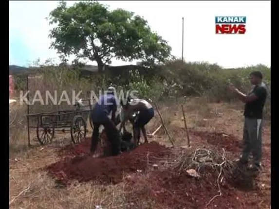 ଶବକୁ ଅସମ୍ମାନ : ଅଳିଆ ବୁହା ଟ୍ରଲିରେ ଗଲା ମହିଳାଙ୍କ ମୃତଦେହ