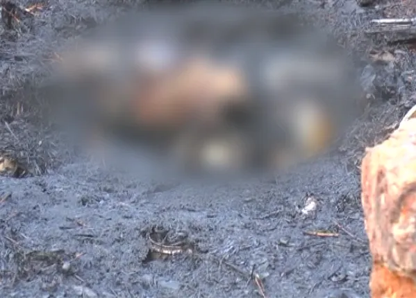 ପିପିଲି ହରିରାଜପୁରରେ ଅଗ୍ନିକାଣ୍ଡ , ୨ ଶିଶୁ ଜବୀନ୍ତ ଦଗ୍ଧ