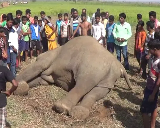 @ûVMWÿ jûZú céZêý NUYû : 2 @bò~êqKê Mòe` Kfû a^aòbûM