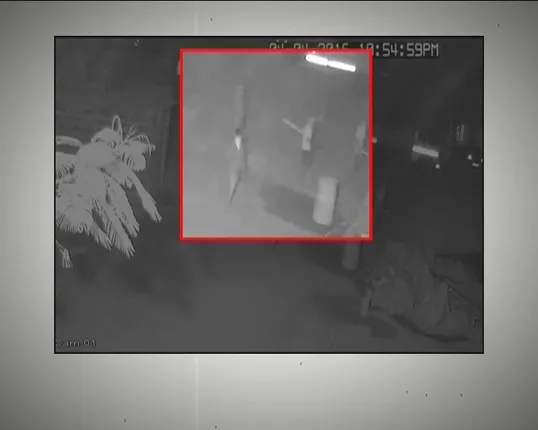 ସିସିଟିଭିରେ ଲାଇଭ ବମିଂ