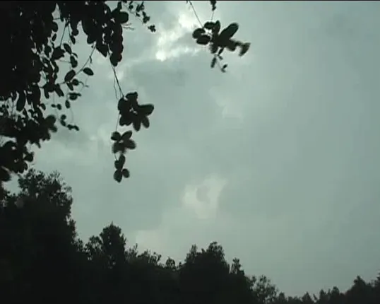 ସ୍ୱାଭାବିକ ହେବ ମୈାସୁମୀ