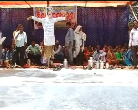 କ୍ଷୀରରେ ଭାସିଲା ଦାଣ୍ଡ,ବାଲଟି ବାଲଟି  କ୍ଷୀର ଢାଳିଲେ ଚାଷୀ