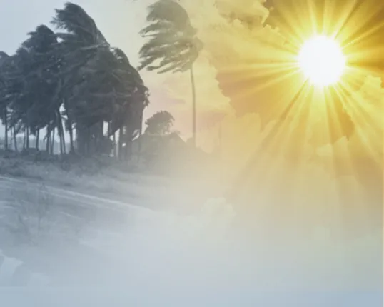 ଚାଲିଗଲା ରୁଆନୁ : ଫେରିଲା ତାତି