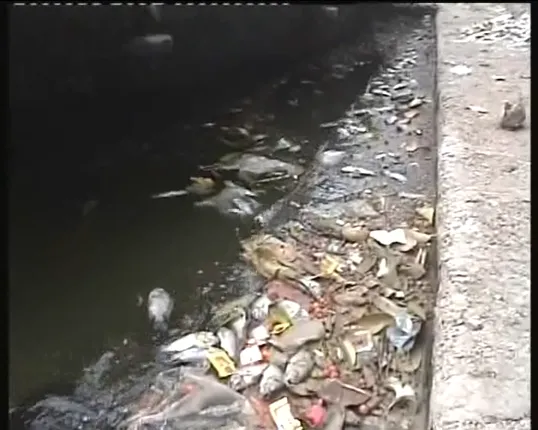 ଜଳ ପାଲଟିଲା ଜହର : ନରେନ୍ଦ୍ର ପୁଷ୍କରୀଣିରେ ଭାସୁଛନ୍ତି ଶହ ଶହ ମଲାମାଛ