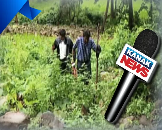 ନଗଡା ଦେଖିବ ପକ୍କା ରାସ୍ତା : ୭ କିଲୋମିଟର ରାସ୍ତାର ଶିଳାନ୍ୟାସ କରିବେ ମୁଖ୍ୟମନ୍ତ୍ରୀ