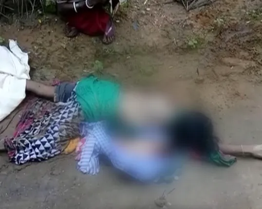 ଘରେ ଶୋଇଥିବା ବେଳେ ହାତୀ ଆକ୍ରମଣ : ପ୍ରାଣ ହରାଇଛନ୍ତି ମା ଓ ୮ ଦିନର ଶିଶୁ