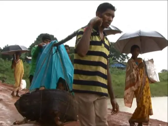 ସବୁଠି ସମାନ ଅବସ୍ଥା, ବିକାଶର ନାହିଁ ଚିହ୍ନବର୍ଣ୍ଣ : ବିଚ୍ଚିନ୍ନାଂଚଳରେ ଟୋକେଇରେ ବୁହା ହେଲେ ମା ଓ ଛୁଆ