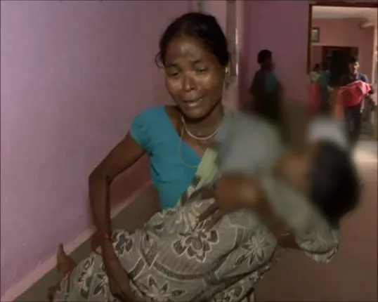 ମାଲକାନଗିରି : ଜାପାନୀ ଜ୍ୱର ନେଲା ଆଉ ୨ ଜୀବନ, ୩୧ ଦିନରେ ଆଖି ବୁଜିଲେଣି ୪୫ଶିଶୁ