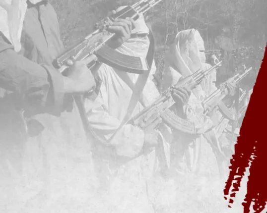 ସର୍ଜିକାଲ ଷ୍ଟ୍ରାଇକର ପ୍ରତିଶୋଧ ଯୋଜନା : ପାର୍ଲାମେଂଟ ଉପରେ ଆକ୍ରମଣ କରିପାରେ ଜୈସ-ଏ-ମହମ୍ମଦ