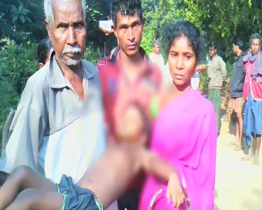 ନିୟନ୍ତ୍ରଣ ବାହାରେ ଜାପାନୀ ଏନସେଫାଲାଇଟିସ୍ : ୪୪ଦିନରେ ମୃତ୍ୟୁ ସଂଖ୍ୟା ଛୁଇଁଲା ୬୬