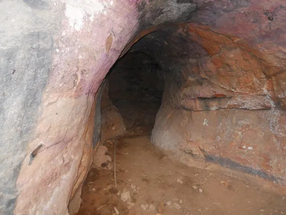 ଝିଙ୍କ ଗୁମ୍ଫାରେ ମଣିଷ ! ଶିକାର କରୁ କରୁ ନିଖୋଜ ହୋଇଗଲେ ଶିକାରୀ