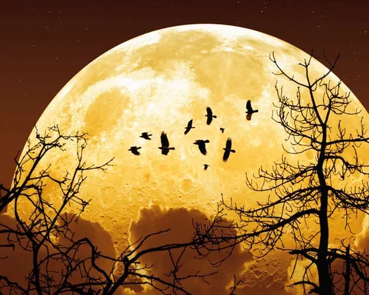 ଆଜି ଦେଖାଯିବ ସୁପରମୁନ୍ : ୬୦ବର୍ଷ ପରେ ଅତିନିକଟରୁ ଚନ୍ଦ୍ରକୁ ଦେଖିବେ ବିଶ୍ୱବାସୀ