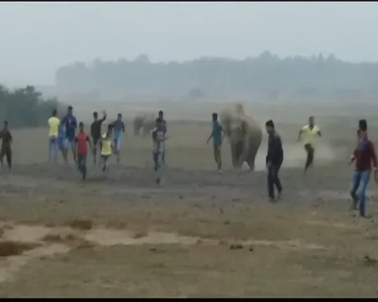 ଗାଁରେ ପଶିଲେ ଗଜରାଜ : ଆଠଗଡ ଖୁଂଟୁଣୀ ବନାଂଚଳ ବଉଳ-ସାରକୋଳି ଗାଁ ରାସ୍ତାରେ ୨୦ରୁ ଅଧିକ ହାତୀ ପଲ