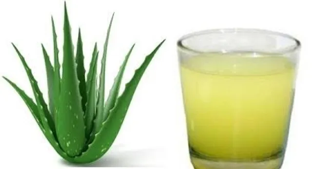 ଘିକୁଆଁରୀ ରସ ଦୂର କରେ ଦାନ୍ତ ଯନ୍ତ୍ରଣା ! ଜାଣନ୍ତୁ କିପରି . . .