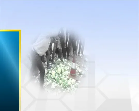 ବଲାଙ୍ଗୀରରେ ବିମୁଦ୍ରାକରଣର ଦୁଃଖଦ  ଚିତ୍ର ! ଜିଲ୍ଲାପାଳଙ୍କ ଅଫିସ ଆଗରେ ପରିବା ଫିଙ୍ଗିଲେ ଚାଷୀ