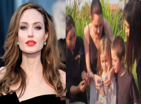 ବୁଢିଆଣୀ, ଅସରପା ଓ ଝିଣ୍ଟିକା ଆଦି ଜୀବ ଖାଇବା ପାଇଁ ପସନ୍ଦ କରନ୍ତି ଲୋକପ୍ରିୟ ଅଭିନେତ୍ରୀ ଆଞ୍ଜେଲିନା ଜୋଲି