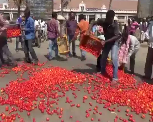 ରାସ୍ତାରେ ଗଡିଲା ଶସ୍ତା ଟମାଟୋ ! କେନ୍ଦୁଝର ଜିଲ୍ଲାପାଳଙ୍କ ଅଫିସ ଆଗରେ ଫିଙ୍ଗିଦେଲେ ଚାଷୀ