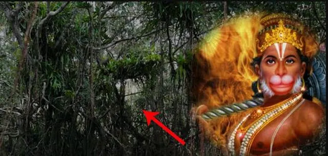 ମହାବୀର ହନୁମାନ ଏବେବି ଅଛନ୍ତି ଜୀବିତ ! ଯାହା ସହ ବୈଜ୍ଞାନିକ ମଧ୍ୟ ମହମତ