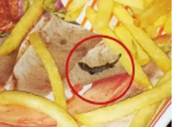 ଫାଷ୍ଟଫୁଡ ଖାଦ୍ୟରେ ଝିଟିପିଟି ! ଆଉଟଲେଟ ମ୍ୟାନେଜରଙ୍କ ନାଁରେ ଏତଲା