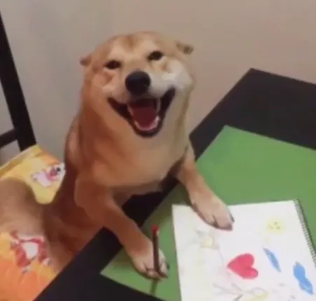 କୁକୁର ବି କରିପାରେ ମଣିଷ ଭଳି କାମ !