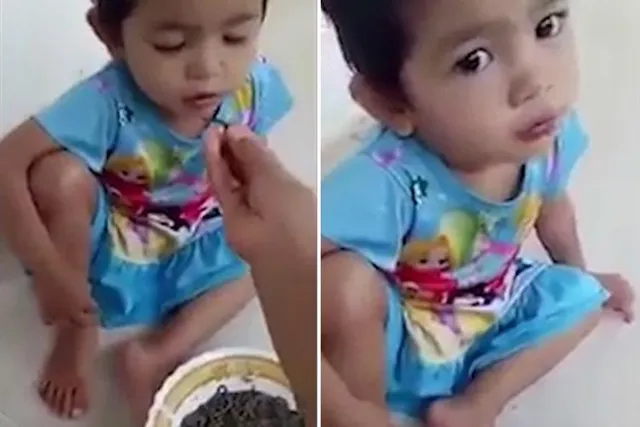 ଇଏ ବି ମାଆ ! ନିଜ ବର୍ଷକର ଶିଶୁଟିକୁ ଜିଅନ୍ତା ଜିଆ ଖୁଆଇ ଭିଡିଓ କଲେ ପୋଷ୍ଟ