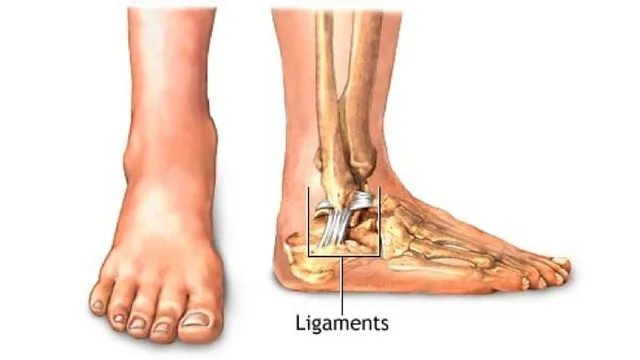 ନରମ କିନ୍ତୁ ଇସ୍ପାତଠୁ ଶକ୍ତ ! କୃତ୍ରିମ ଅସ୍ଥିରଜ୍ଜୁ ପାଇଁ ଫିଟିଲା ବାଟ