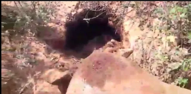 ମାଲକାନଗିରି ସୀମାନ୍ତ ଦାନ୍ତେୱାଡା ଜିଲ୍ଳାରେ ୨ଟି ବାରୁଦ ସୁଡଙ୍ଗ ଠାବ : ଛତିଶଗଡ ପୁଲିସର ସର୍ଚ୍ଚ ଅପରେସନ