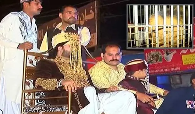 ସିଂହ ପିଠିରେ ବର !  ବାହାଘରକୁ ନେଇ ସୋସିଆଲ ମିଡିଆରେ ଭାଇରାଲ