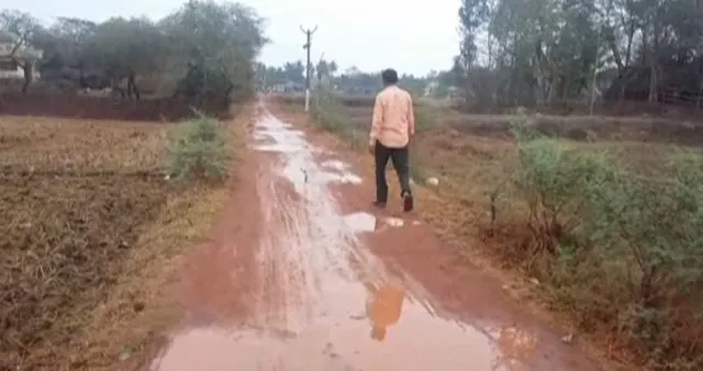 ଅସାଧୁଙ୍କ ହାତରେ ପ୍ରଧାନମନ୍ତ୍ରୀ ସଡକ ଯୋଜନା ! ଅଧାରେ ଲଟକିଛି ଭଦ୍ରକ ଚାନ୍ଦବାଲି ବ୍ଲକର ଦୋସିଙ୍ଗା ଓରାମାଳ ରାସ୍ତା