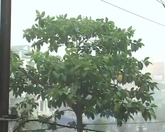 ଆହୁରି ୨୪ ଘଂଟା ବର୍ଷିବ : ପାଣିପାଗ କେନ୍ଦ୍ରର ପୂର୍ବାନୁମାନ, ୫୦ରୁ ୬୦କିଲୋମିଟର ବେଗରେ ପବନ ସହ ଲାଗିରହିବ ବର୍ଷା