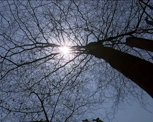 ସାରା ରାଜ୍ୟରେ ଡହ ଡହ ଖରା ! ତାପମାତ୍ରା ୪୦ଡିଗ୍ରୀରୁ ଅଧିକ ହେବାର ଆଶଙ୍କା