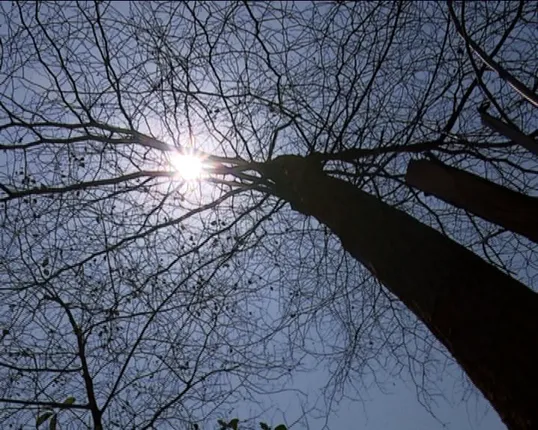 ସାରା ରାଜ୍ୟରେ ଗ୍ରୀଷ୍ମ ପ୍ରବାହ ଜାରି ! ଗରମ ଓ ଝାଞ୍ଜି ପବନରେ ସନ୍ତୁଳି ହେଲା ପଶ୍ଚିମ ଓଡିଶା