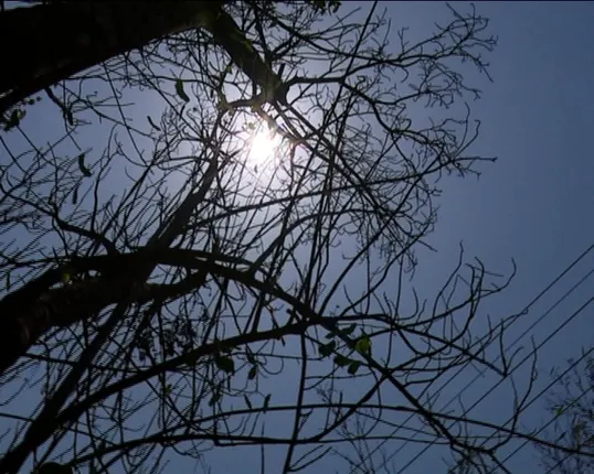 ସାରା ରାଜ୍ୟରେ ଜାରି ରହିଛି ଗ୍ରୀଷ୍ମ ପ୍ରବାହ : ଦିନ ୧୨ଟା ସୁଦ୍ଧା ୮ଟି ସହରରେ ତାମପାତ୍ରା ୪୦ ଡିଗ୍ରୀ