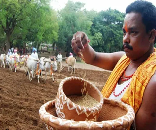 ଆଜି ପବିତ୍ର ଅକ୍ଷୟ ତୃତୀୟା ! ବିଲରେ ଅଖିମୁଠି ସହ ରଥକାଠ ହେବ ଅନୁକୂଳ ଶ୍ରୀକ୍ଷେତ୍ରରେ ମହାପ୍ରଭୁଙ୍କ ଚନ୍ଦନ ଯାତ୍ରା