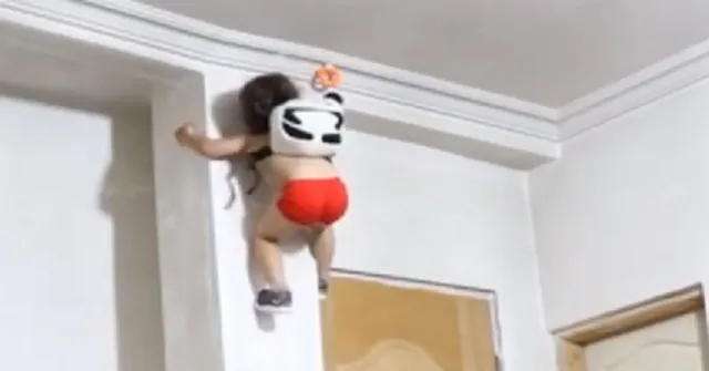 ୩ ବର୍ଷର ଶିଶୁ ଚଢୁଛନ୍ତି ୧୦ ଫୁଟ ଉଚ୍ଚର କାନ୍ଥ ! ସ୍ପାଇଡର ବୟକୁ ନେଇ ଚର୍ଚ୍ଚା