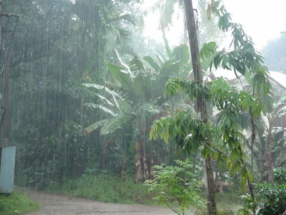 ଚଳିତ ବର୍ଷ ସ୍ୱାଭାବିକ ରହିବ ମୈାସୁମୀ ! ପାଣିପାଗ ବିଭାଗର ପୂର୍ବାନୁମାନ,ଠିକ ସମୟରେ ଆସିବ ଓ ଭଲ ବର୍ଷିବ