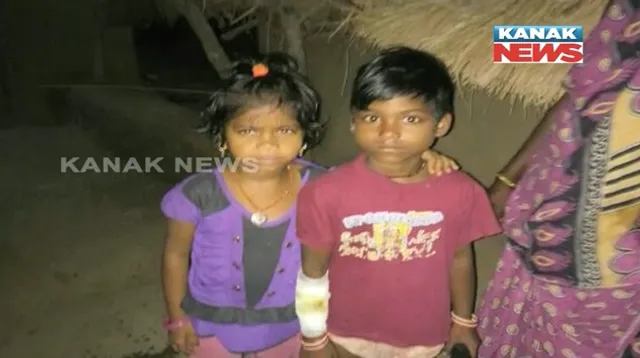 ୫ ଫୁଟିଆ କୁମ୍ଭୀର ସହ ଲଢେଇ କଲା ୬ ବର୍ଷର କୁନି ଝିଅ ! କେନ୍ଦ୍ରାପଡା ଭିତରକନିକା ଅଂଚଳରେ ଚହଳ