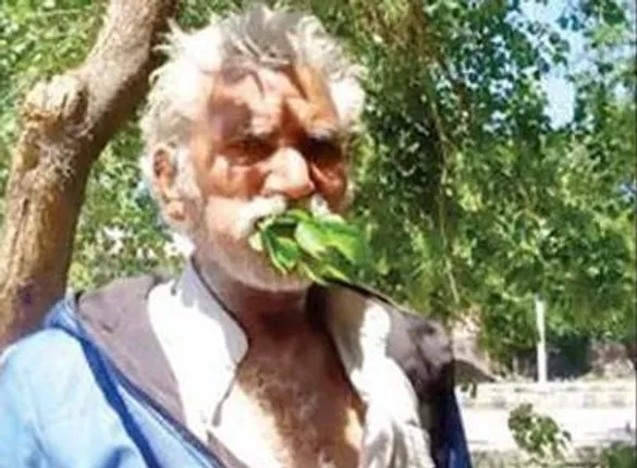 ଏମିତି ମଣିଷ ! ୨୫ ବର୍ଷ ହେଲା ଗଛର ଡାଳ, ପତ୍ରକୁ କରିଛନ୍ତି ଖାଦ୍ୟ