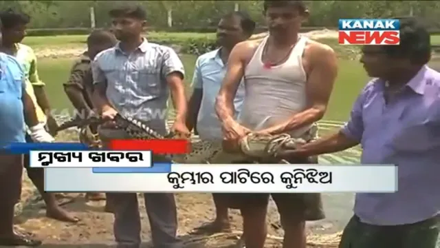 ପ୍ରାଇମ୍ ଟାଇମ୍ ନ୍ୟୁଜ୍ : ୦୫–୦୪ -୧୭