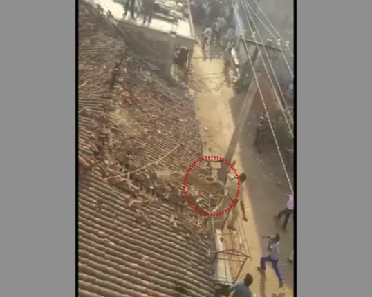 ଶେଷରେ ଧରାପଡିଲା ବାଘ ! ବଲାଙ୍ଗିର କଂଟାବାଞ୍ଜିରେ ଚେତା ହଜାଇଥିଲା ଚିତା