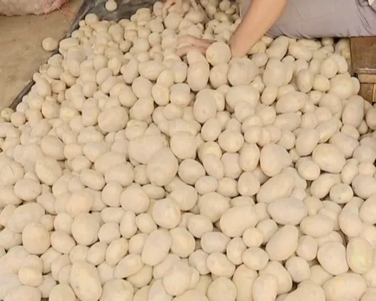 ଆଳୁ ବଜାରରେ ଚଡ଼କ ! ଦୁଇ ଦିନ ହେବ ହୁ ହୁ ହୋଇ ବଢୁଛି ଦର