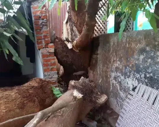 ମାଲକାନଗିରିରେ କାଳବୈଶାଖୀର ତାଣ୍ଡବ ! ପବନରେ ଅନେକ ଘରଦ୍ୱାର ଭଙ୍ଗାରୁଜା