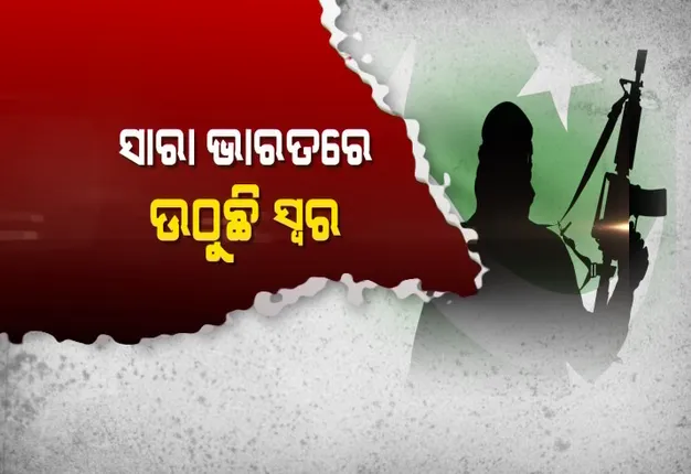 ପାକିସ୍ତାନକୁ ଜବାବ ଦିଅ ! ଗୋଟିଏ ବଦଳରେ ଦରକାର ୫୦ ମୁଣ୍ଡ