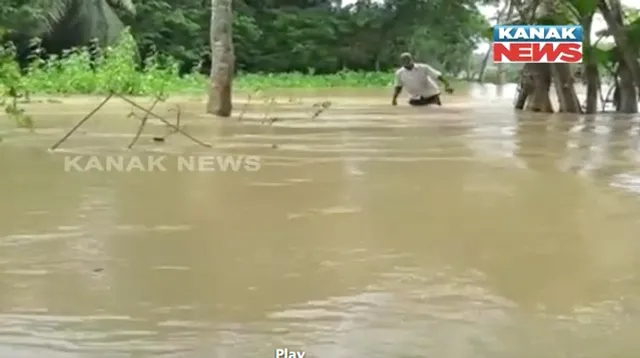 ଓଡ଼ିଶାକୁ ଘାରିଛି ବନ୍ୟା ଭୟ ! ବିପଦ ସଂକେତ ଉପରେ ବୈତରଣୀ ଓ ସୁବର୍ଣ୍ଣରେଖା, ଉଛୁଳୁଛି ବୁଢ଼ାବଳଙ୍ଗ, ଜଳକା