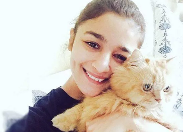 ପଶୁ ପ୍ରେମୀ ଅଭିନେତ୍ରୀ ଆଲିଆ ଭଟ୍ଟ ! ବୁଲା କୁକୁର ଓ ବିଲେଇଙ୍କ ଯତ୍ନ ନେବାକୁ ଲୋକଙ୍କୁ କରିଥାନ୍ତି ସଚେତନ