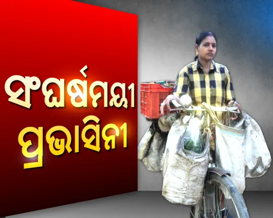 ଇଏ ବି ଜଣେ ନାରୀ ! ସାଇକେଲରେ ଫେରି କରି ପରିବାର ଚଳାଉଛନ୍ତି ପ୍ରଭାସିନୀ