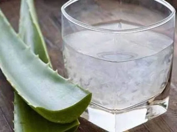 ଘିକୁଆଁରୀ ଜୁସ୍ ପିଇବା ସ୍ୱାସ୍ଥ୍ୟ ପାଇଁ ଭଲ ! ହେଲେ ଆସନ୍ତୁ ଜାଣିବା କେତେବେଳେ ଏହା ହାନିକାରକ ହୋଇଥାଏ